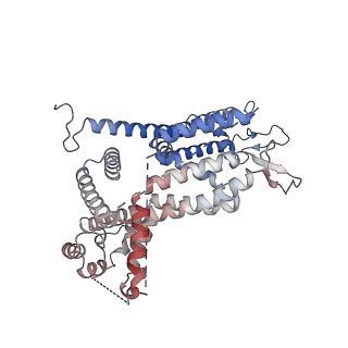 27695_8dtb_G_v1-2
Focus/local refined map in C1 of signal subtracted RyR1 particles in complex with ImperaCalcin