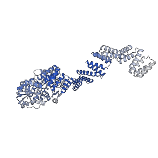 27696_8dtf_B_v1-0
Cryo-EM structure of the full length Arabidopsis SPY with complete TPRs