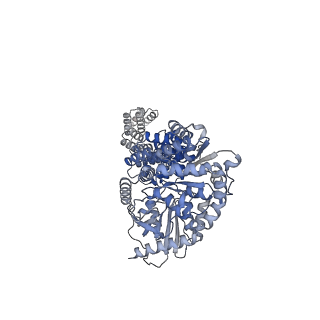 27697_8dtg_B_v1-0
Cryo-EM structure of Arabidopsis SPY alternative conformation 1