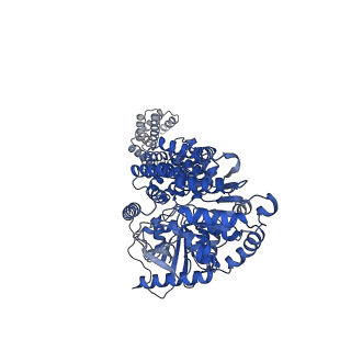 27698_8dth_A_v1-0
Cryo-EM structure of Arabidopsis SPY alternative conformation 2