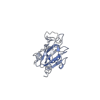 27703_8dtk_A_v1-0
Structure of RBD directed antibody DH1047 in complex with SARS-CoV-2 spike: Local refinement of RBD-Fab interace