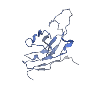 27703_8dtk_C_v1-1
Structure of RBD directed antibody DH1047 in complex with SARS-CoV-2 spike: Local refinement of RBD-Fab interace