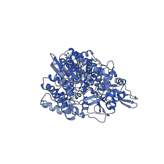 30852_7dte_A_v1-1
SARS-CoV-2 RdRP catalytic complex with T33-1 RNA