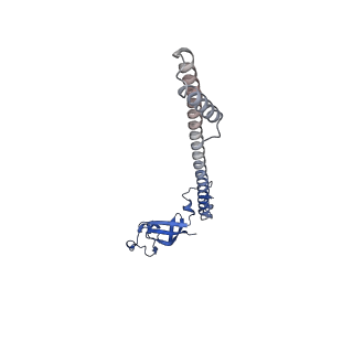 30852_7dte_B_v1-1
SARS-CoV-2 RdRP catalytic complex with T33-1 RNA