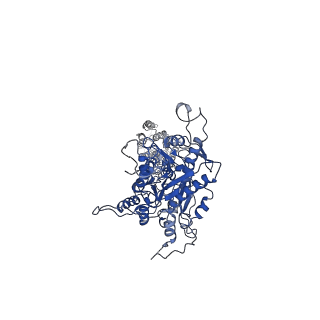 30853_7dtt_A_v1-1
Human Calcium-Sensing Receptor bound with calcium ions