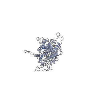 30856_7dtw_A_v1-1
Human Calcium-Sensing Receptor in the inactive close-close conformation