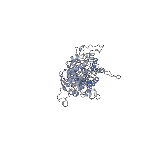 30856_7dtw_B_v1-1
Human Calcium-Sensing Receptor in the inactive close-close conformation