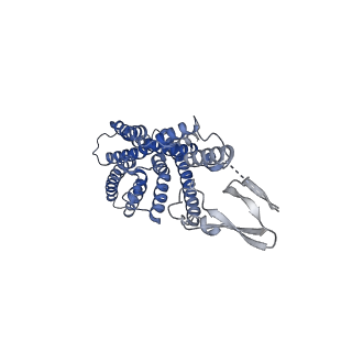 30860_7dty_R_v1-1
Structural basis of ligand selectivity conferred by the human glucose-dependent insulinotropic polypeptide receptor