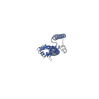 8911_6dt0_A_v1-1
Cryo-EM structure of a mitochondrial calcium uniporter