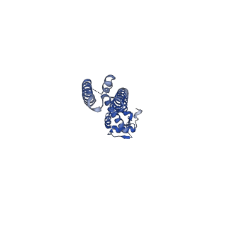 8911_6dt0_D_v1-1
Cryo-EM structure of a mitochondrial calcium uniporter