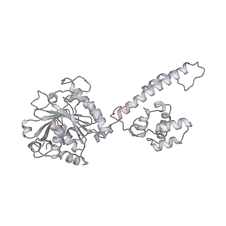 27719_8due_A_v1-1
Open state of T4 bacteriophage gp41 hexamer bound with single strand DNA