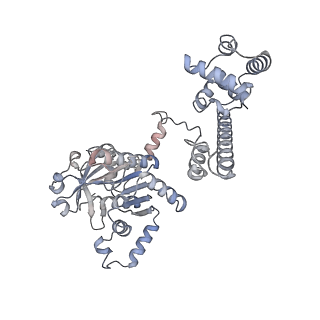 27719_8due_B_v1-1
Open state of T4 bacteriophage gp41 hexamer bound with single strand DNA