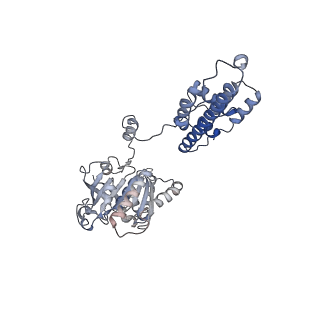 27719_8due_C_v1-1
Open state of T4 bacteriophage gp41 hexamer bound with single strand DNA