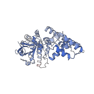 27719_8due_D_v1-1
Open state of T4 bacteriophage gp41 hexamer bound with single strand DNA