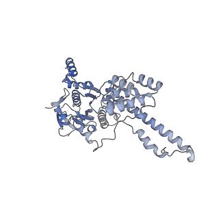 27719_8due_E_v1-1
Open state of T4 bacteriophage gp41 hexamer bound with single strand DNA