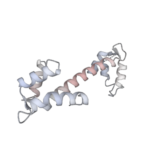 27721_8duj_C_v1-2
Global map in C1 of RyR1 particles in complex with ImperaCalcin