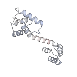 27721_8duj_F_v1-2
Global map in C1 of RyR1 particles in complex with ImperaCalcin