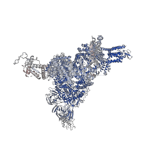 27721_8duj_G_v1-2
Global map in C1 of RyR1 particles in complex with ImperaCalcin