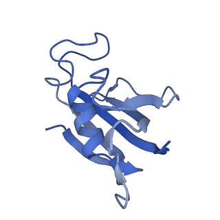 27721_8duj_H_v1-2
Global map in C1 of RyR1 particles in complex with ImperaCalcin