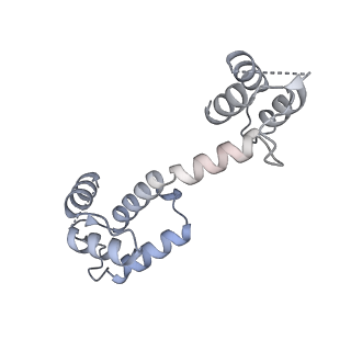 27721_8duj_I_v1-2
Global map in C1 of RyR1 particles in complex with ImperaCalcin