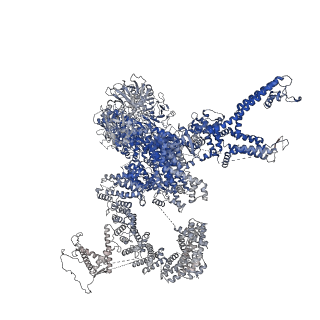 27721_8duj_J_v1-2
Global map in C1 of RyR1 particles in complex with ImperaCalcin