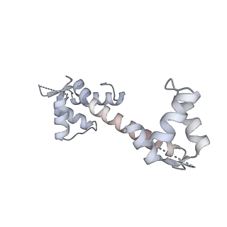 27721_8duj_L_v1-2
Global map in C1 of RyR1 particles in complex with ImperaCalcin