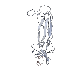 27722_8dul_A_v1-0
Cryo-EM Structure of Antibody SKT05 in complex with Western Equine Encephalitis Virus spike (local refinement from VLP particles)