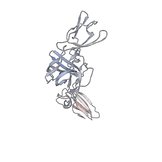 27722_8dul_B_v1-0
Cryo-EM Structure of Antibody SKT05 in complex with Western Equine Encephalitis Virus spike (local refinement from VLP particles)
