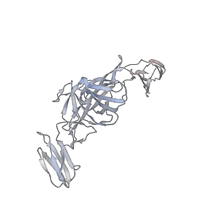 27722_8dul_G_v1-0
Cryo-EM Structure of Antibody SKT05 in complex with Western Equine Encephalitis Virus spike (local refinement from VLP particles)