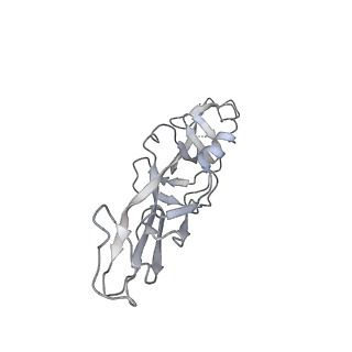 27722_8dul_J_v1-0
Cryo-EM Structure of Antibody SKT05 in complex with Western Equine Encephalitis Virus spike (local refinement from VLP particles)