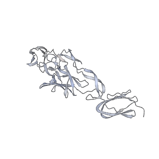 27722_8dul_K_v1-0
Cryo-EM Structure of Antibody SKT05 in complex with Western Equine Encephalitis Virus spike (local refinement from VLP particles)