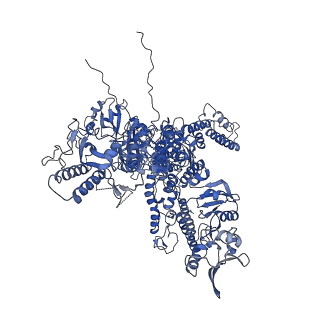 30865_7du2_A_v1-2
RNA polymerase III EC complex in post-translocation state