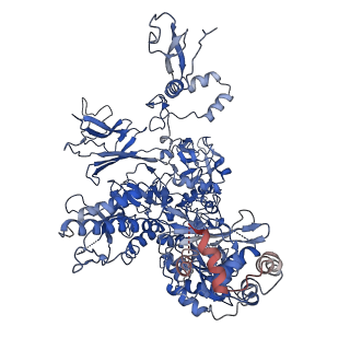 30865_7du2_B_v1-1
RNA polymerase III EC complex in post-translocation state