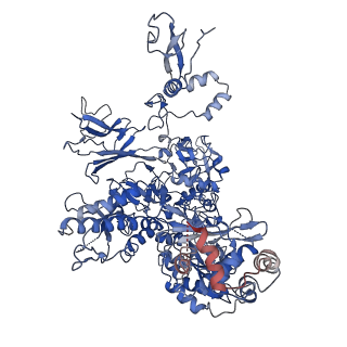 30865_7du2_B_v1-2
RNA polymerase III EC complex in post-translocation state