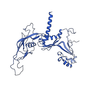 30865_7du2_C_v1-1
RNA polymerase III EC complex in post-translocation state