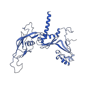 30865_7du2_C_v1-2
RNA polymerase III EC complex in post-translocation state