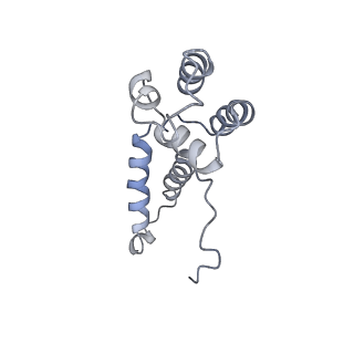 30865_7du2_D_v1-1
RNA polymerase III EC complex in post-translocation state