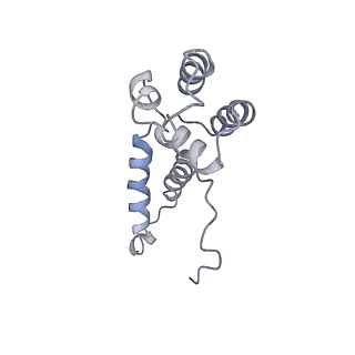 30865_7du2_D_v1-2
RNA polymerase III EC complex in post-translocation state