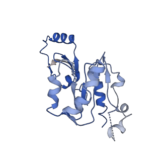 30865_7du2_E_v1-1
RNA polymerase III EC complex in post-translocation state