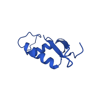 30865_7du2_F_v1-1
RNA polymerase III EC complex in post-translocation state