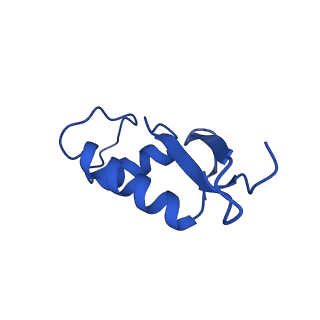 30865_7du2_F_v1-2
RNA polymerase III EC complex in post-translocation state