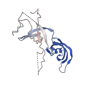 30865_7du2_G_v1-2
RNA polymerase III EC complex in post-translocation state