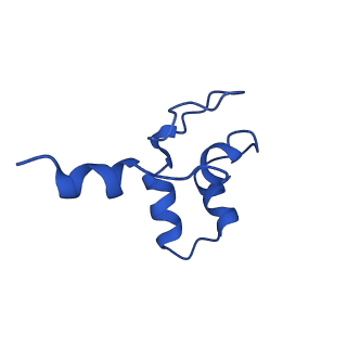 30865_7du2_J_v1-1
RNA polymerase III EC complex in post-translocation state