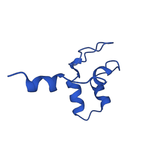 30865_7du2_J_v1-2
RNA polymerase III EC complex in post-translocation state