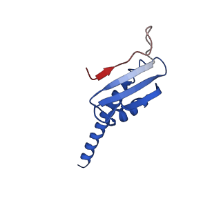 30865_7du2_K_v1-1
RNA polymerase III EC complex in post-translocation state