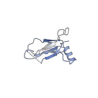 30865_7du2_N_v1-1
RNA polymerase III EC complex in post-translocation state