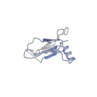 30865_7du2_N_v1-2
RNA polymerase III EC complex in post-translocation state