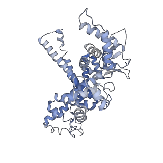 30865_7du2_O_v1-1
RNA polymerase III EC complex in post-translocation state