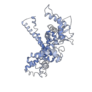 30865_7du2_O_v1-2
RNA polymerase III EC complex in post-translocation state