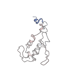 30865_7du2_P_v1-1
RNA polymerase III EC complex in post-translocation state